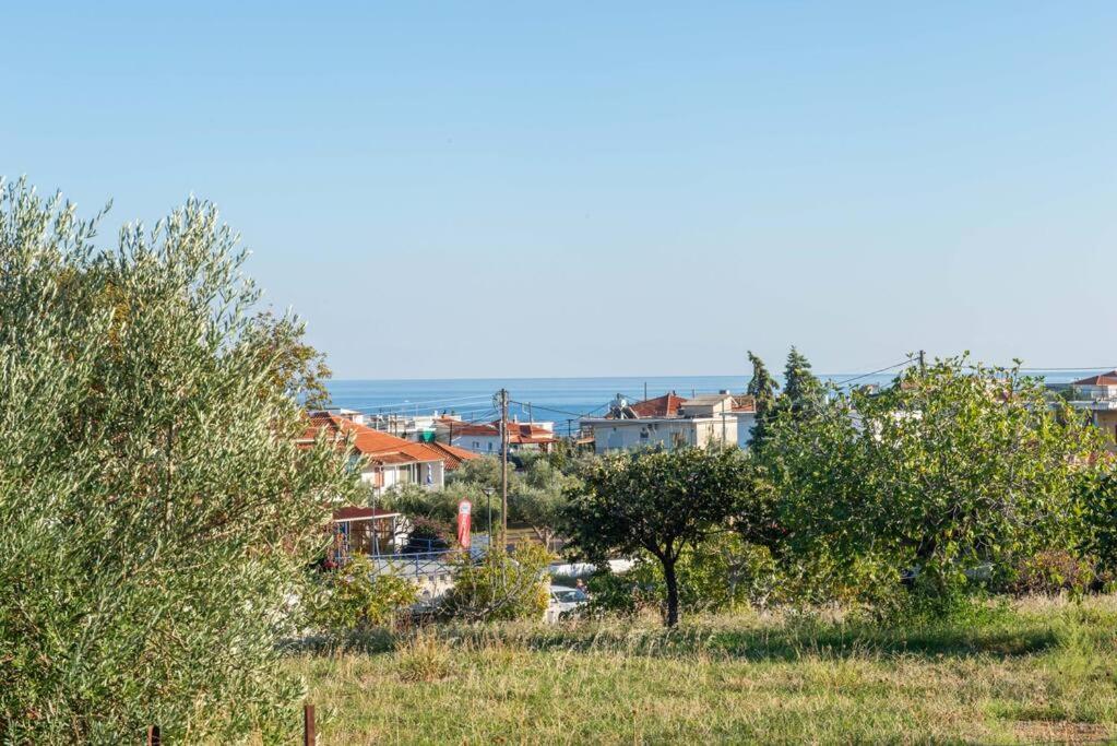 Όμορφο Παραθασυγκρότημα Ενοικιαζόμενων Καταλυμάτων Ως Ολόκληρος Χώρος - Chrani, Ελλάδαλάσσιο Διαμέρισμα エクステリア 写真